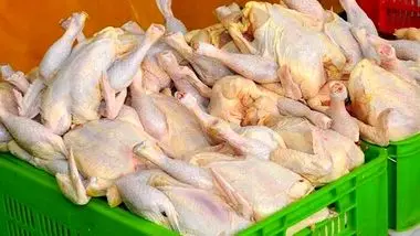 قیمت هر کیلو مرغ به ۱۱ هزار تومان رسید