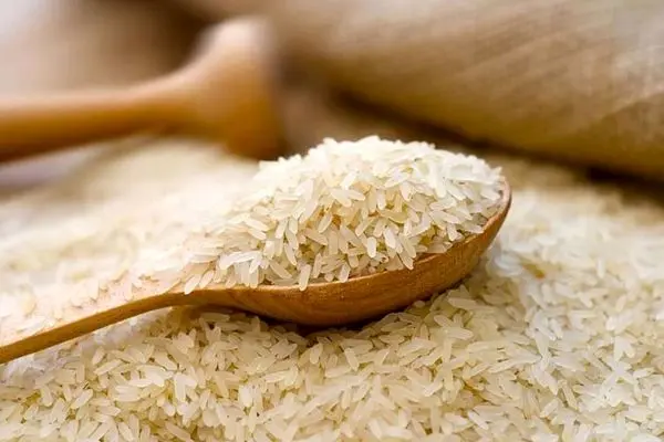 ارز برنج وارداتی نیمایی است/ افزایش وارادت جهت تعادل بازار برنج در سال گذشته