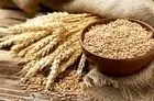قیمت گندم امروز 30 اردیبهشت 1403/ دولت حدود 2 میلیون تن گندم کشاورزان را خرید