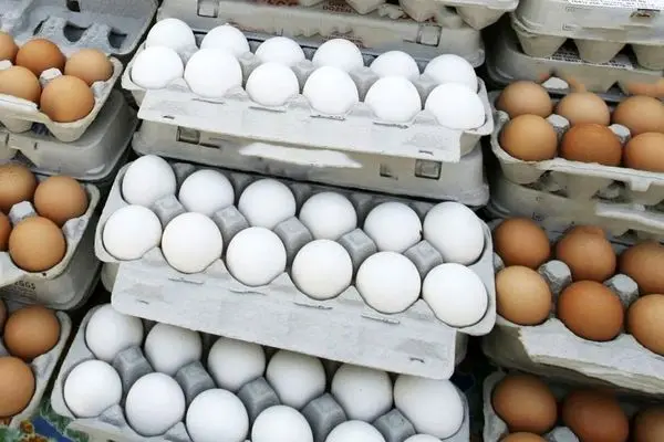فروش هرکیلو تخم‌مرغ بیشتر از ۵۶ هزار تومان تخلف است