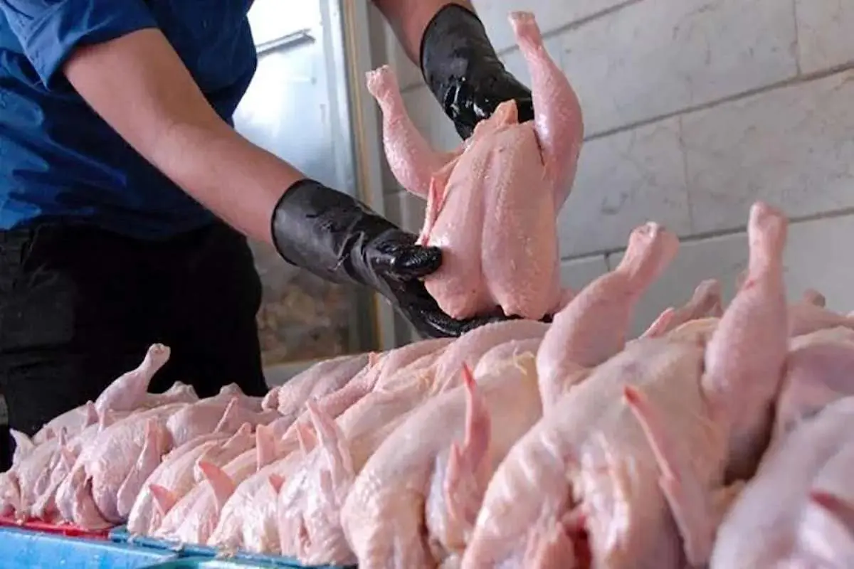 قیمت مرغ در بازار امروز چهارشنبه ۱۷ آبان