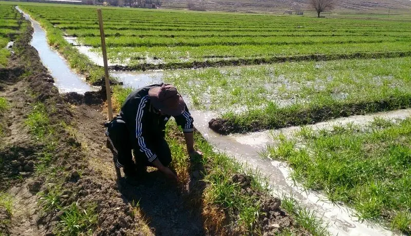 بحران جدید در خوزستان؛ این بار کمبود کود اوره