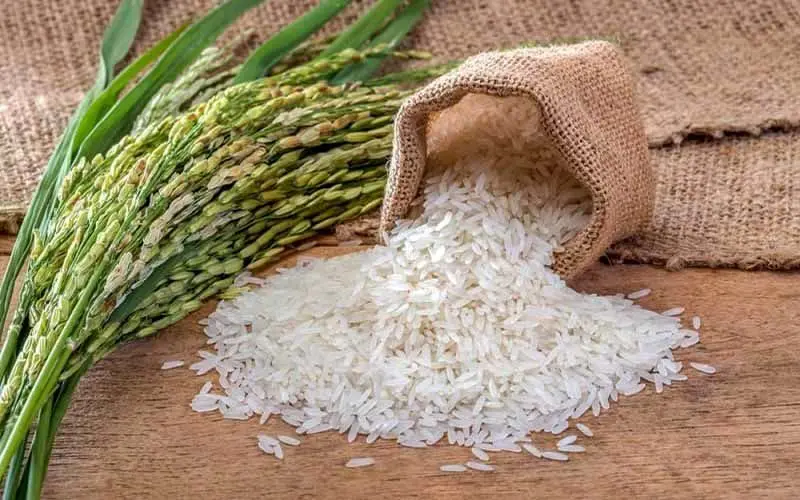 قرارداد عراق با آمریکا برای واردات گندم و برنج