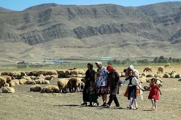 بیش از 50 درصد خانوارهای شهری خودرو شخصی دارند