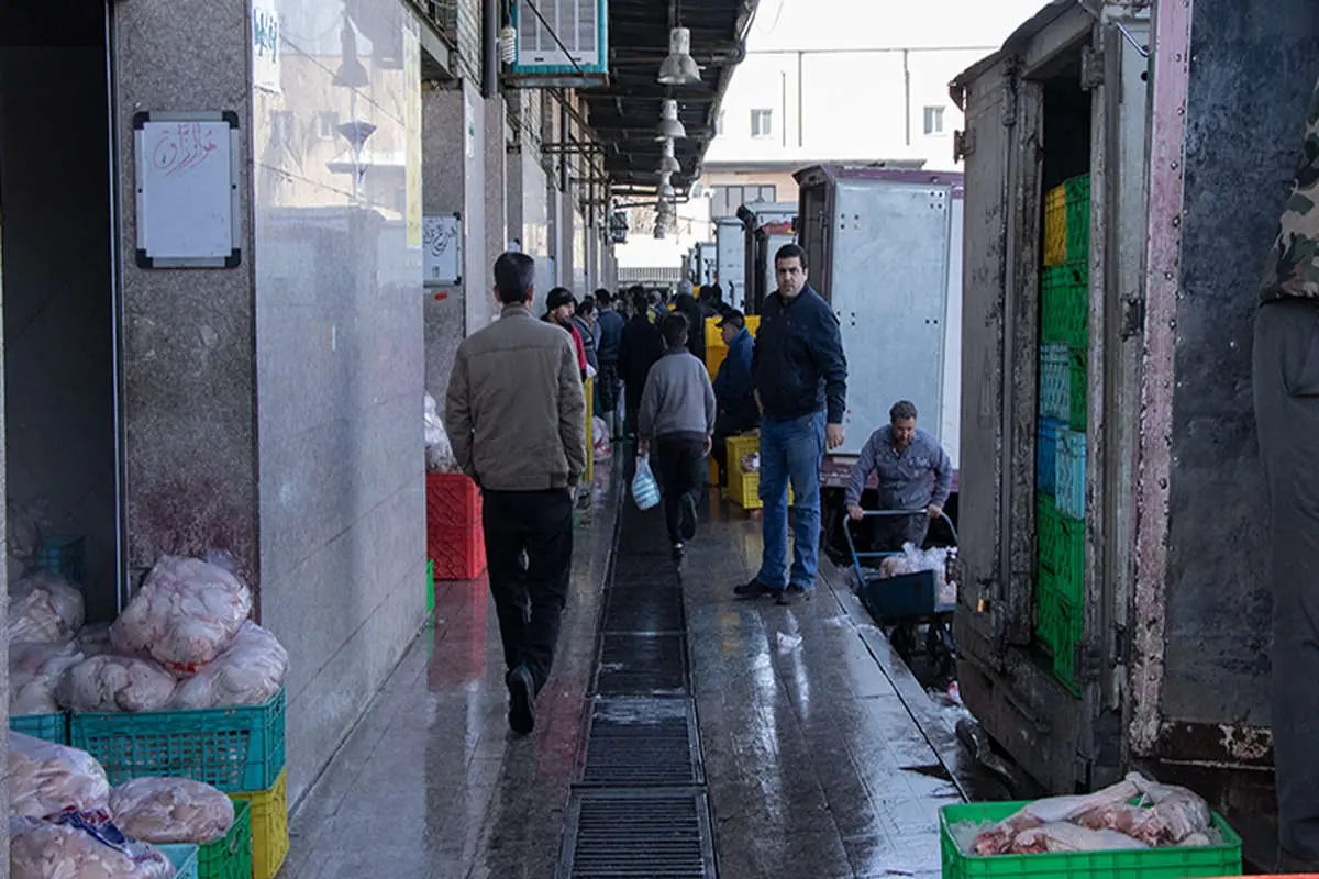 بازار مرغ میدان بهمن به روایت یک گزارش تصویری