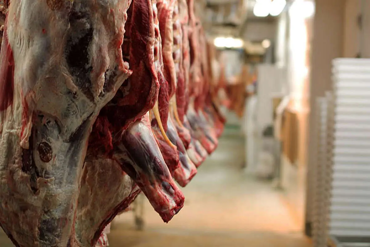 قیمت گوشت گوسفندی به کیلویی 72 هزار تومان رسید