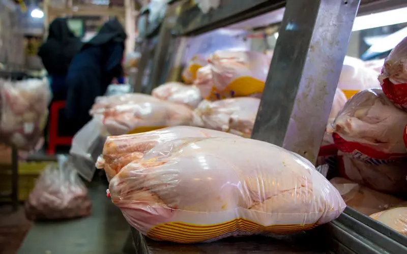کاهش 1000 تومانی قیمت مرغ در بازار