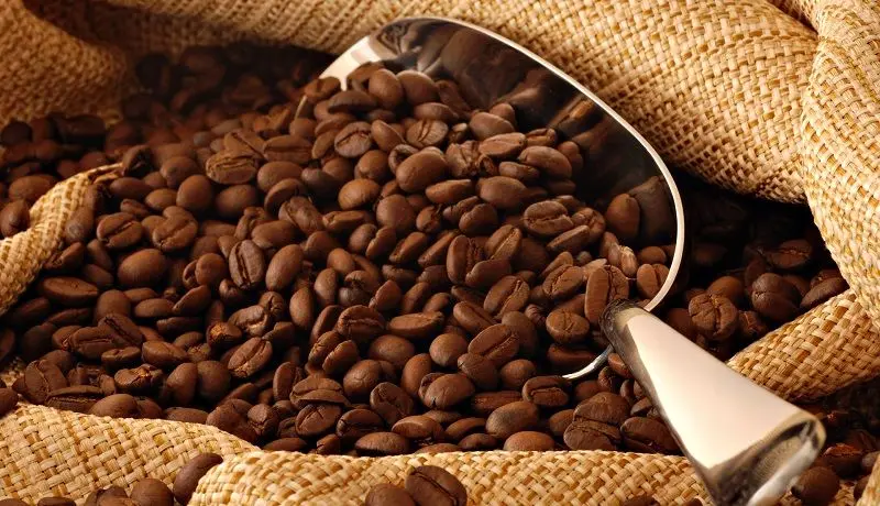 بزرگ‌ترین تاجران قهوه / کدام کشورها بیشترین قهوه را خریدوفروش می‌کنند؟