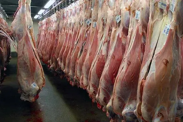 جدیدترین قیمت گوشت در بازار/ توزیع روزانه ۳۰۰ تن گوشت گرم وارداتی