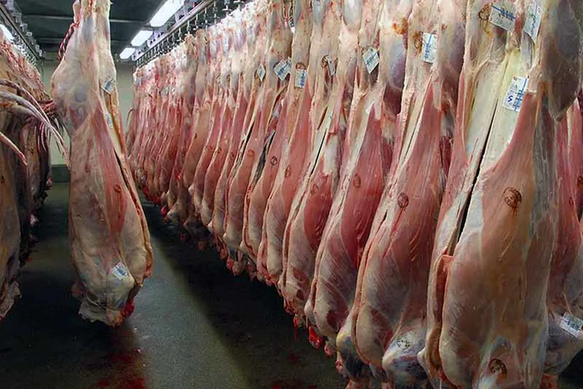توزیع ۲۱ میلیون کیلو گوشت ظرف یک هفته آینده