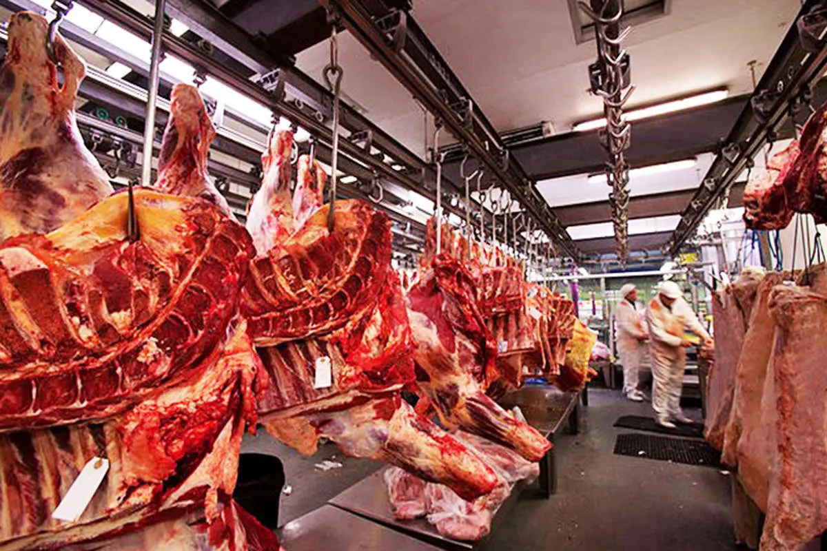 تولید گوشت در ایران چه تغییری کرده است؟ (اینفوگرافیک)