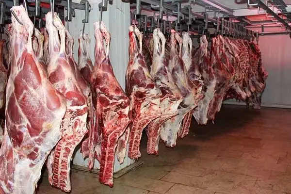 کاهش قیمت گوشت قرمز/ تامین ۵ درصد گوشت مورد نیاز از طریق واردات
