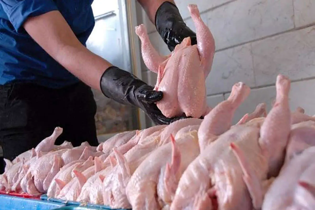 واکنش دامپزشکی به فروش مرغ مُرده در بازار