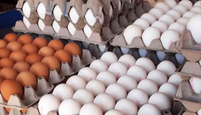 احتمال وضع عوارض برای صادرات تخم‌مرغ