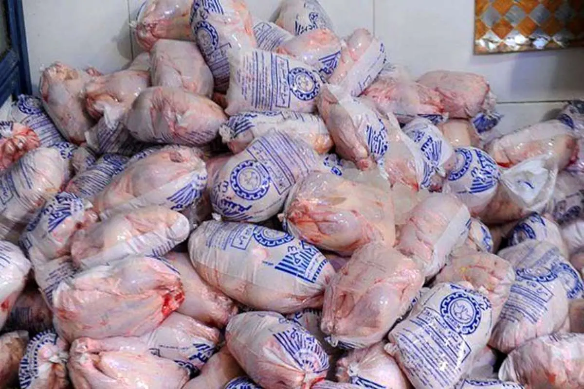 افزایش توزیع مرغ برای تنظیم بازار