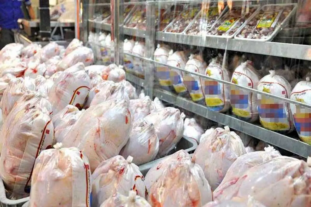 توقف عرضه مرغ تنظیم بازاری در واحدهای صنفی