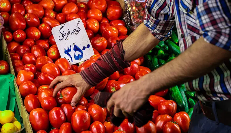 عامل اصلی نوسان قیمت خیار و گوجه‌فرنگی در بازار چیست؟