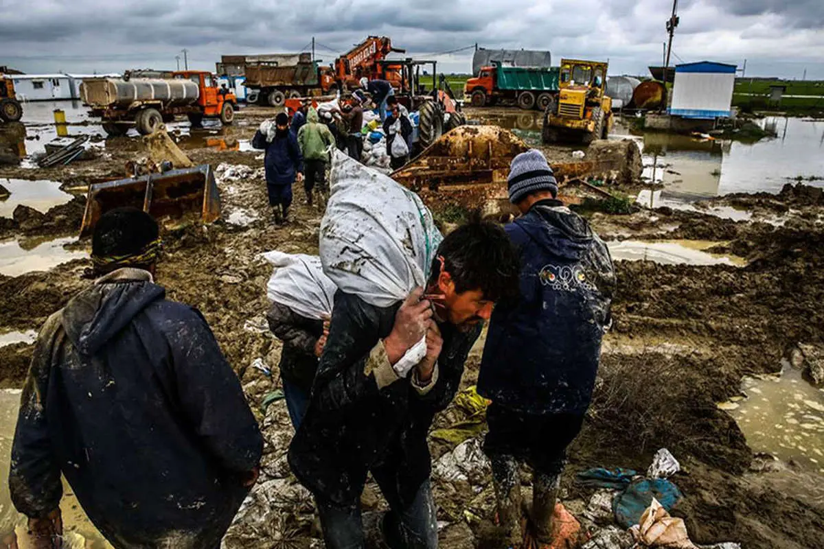 جزییات خسارات سیل به زیربخش دام و طیور در ۶ استان کشور