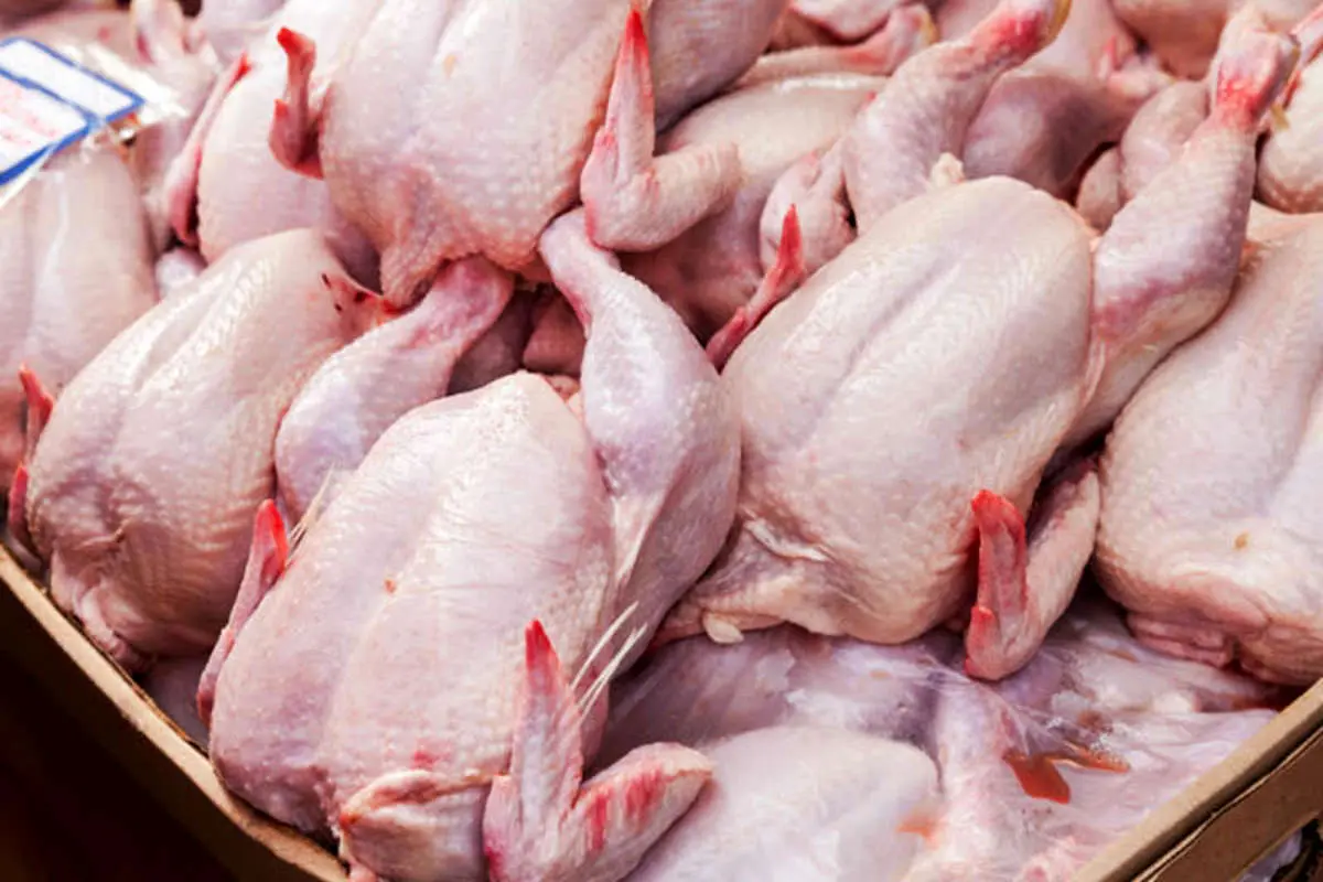 کاهش 1000 تومانی قیمت مرغ