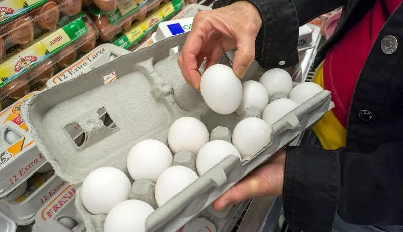 قیمت تخم مرغ در ماه رمضان ارزان می‌شود