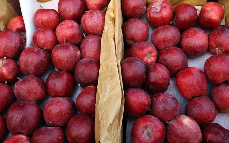 ممنوعیت صادرات سیب و پرتقال رفع شد