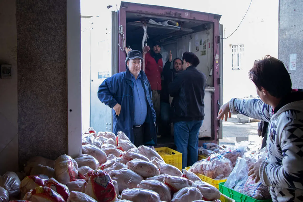 خریداری مرغ برای تامین ذخایر استراتژیک