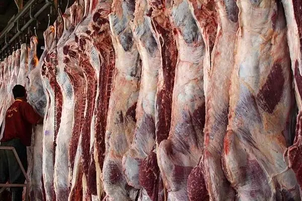 قیمت گوشت در بازار اعلام شد 