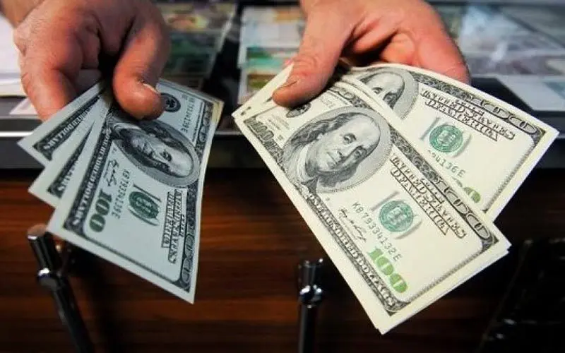 رد ‏پای دلارهای گم‏شده در جیب صادرکنندگان کاغذی