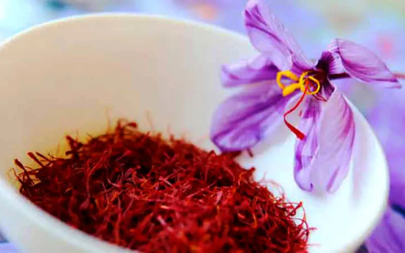 صادرات زعفران ایرانی به اسم زعفران افغانستان