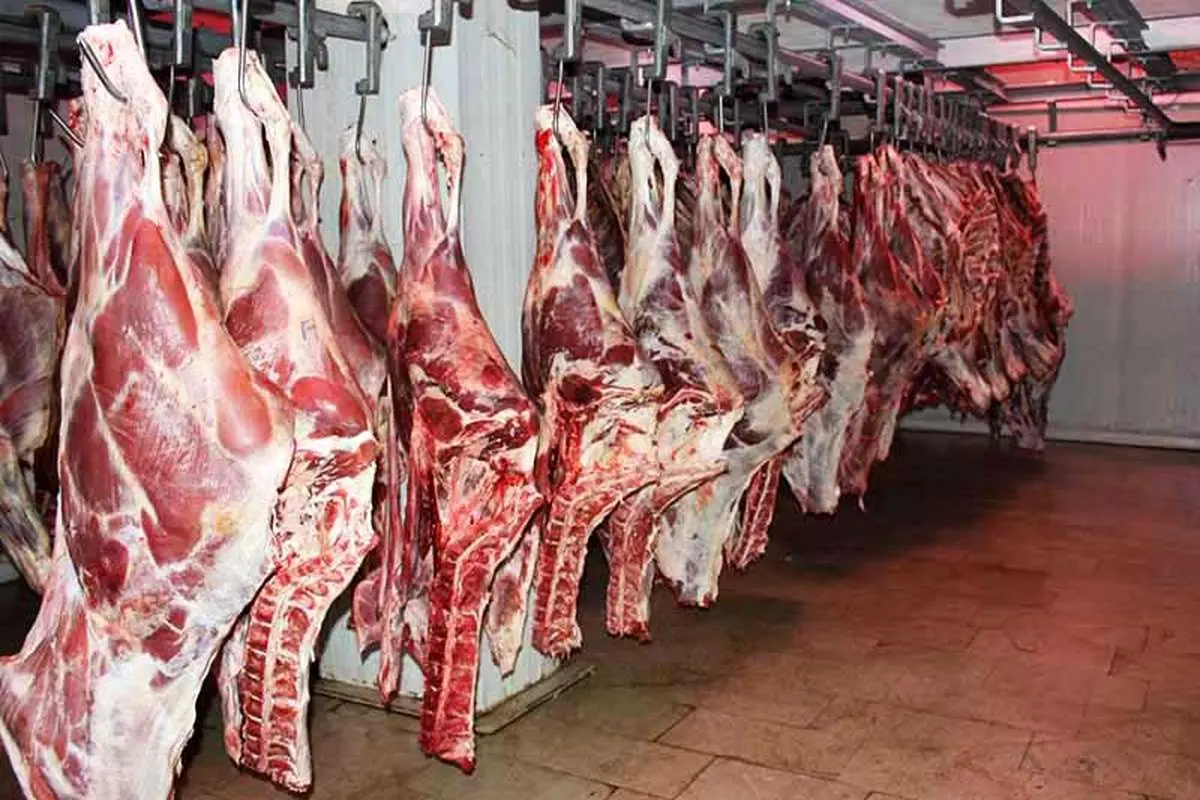 وضعیت واردات گوشت بهار 98