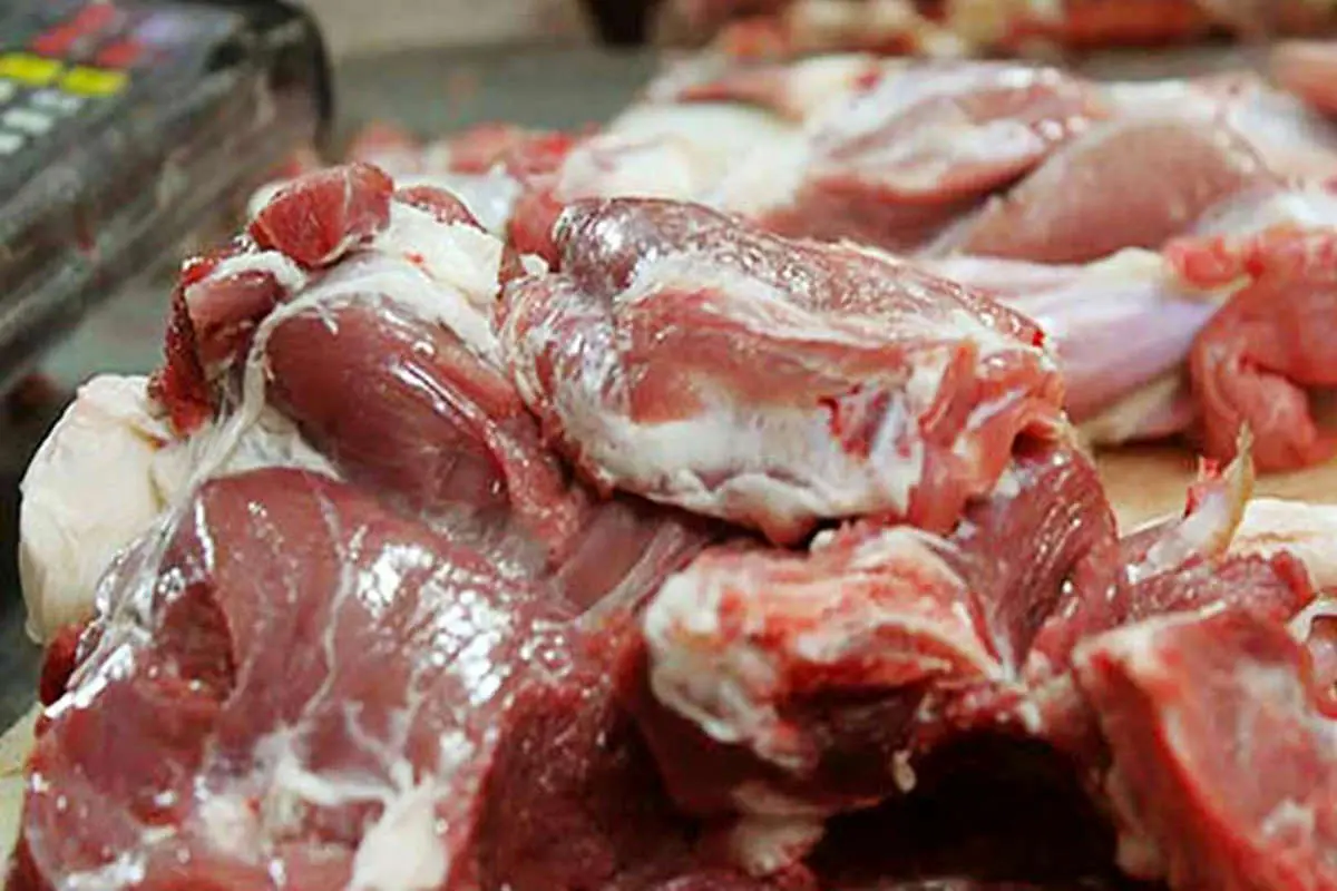 نوسان قیمت در گوشت گوسفندی