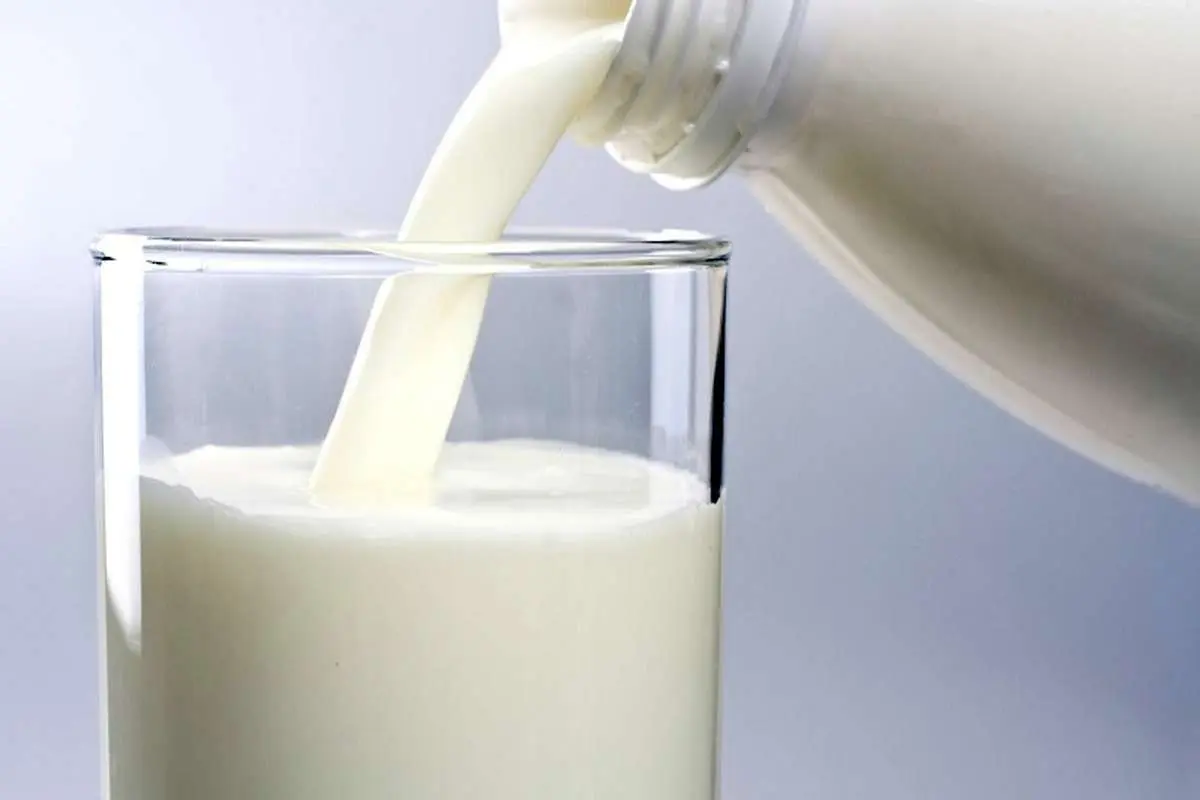 بزرگ‌ترین تاجران شیر در جهان / کدام کشورها بیشترین شیر را خریدوفروش می‌کنند؟