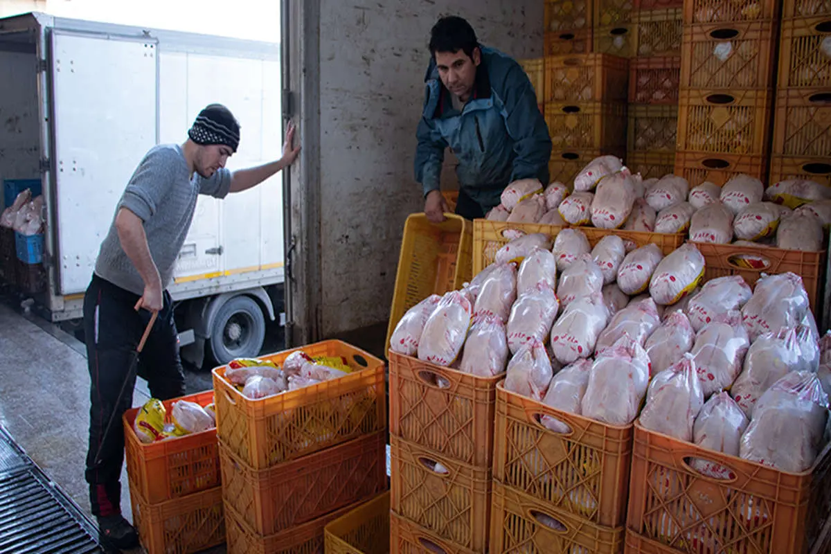 کاهش ۸۰۰ تومانی قیمت مرغ در بازار