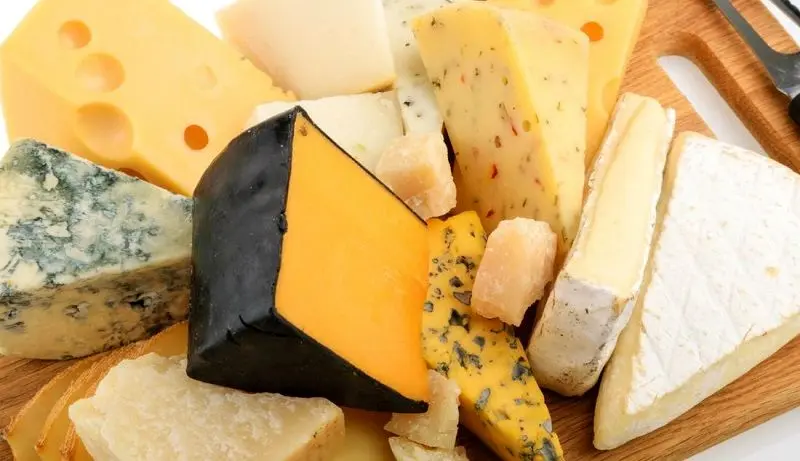 بزرگ‌ترین تاجران پنیر در جهان / کدام کشورها بیشترین پنیر را خریدوفروش می‌کنند؟
