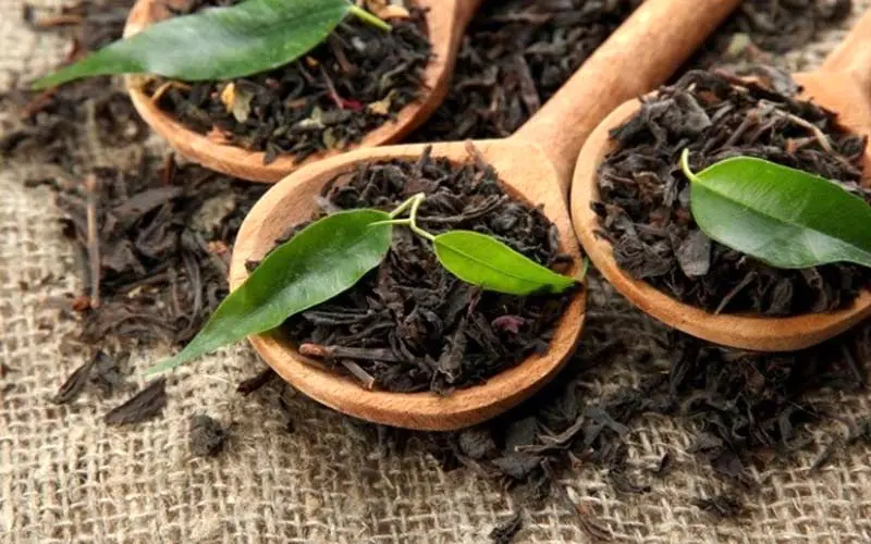 افزایش ۱۰۰ درصدی قیمت چای ایرانی در بازار / کاهش قیمت چای خارجی