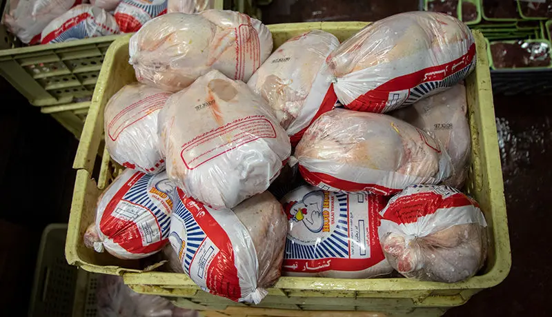 افزایش ۴۰۰ تومانی قیمت مرغ در بازار
