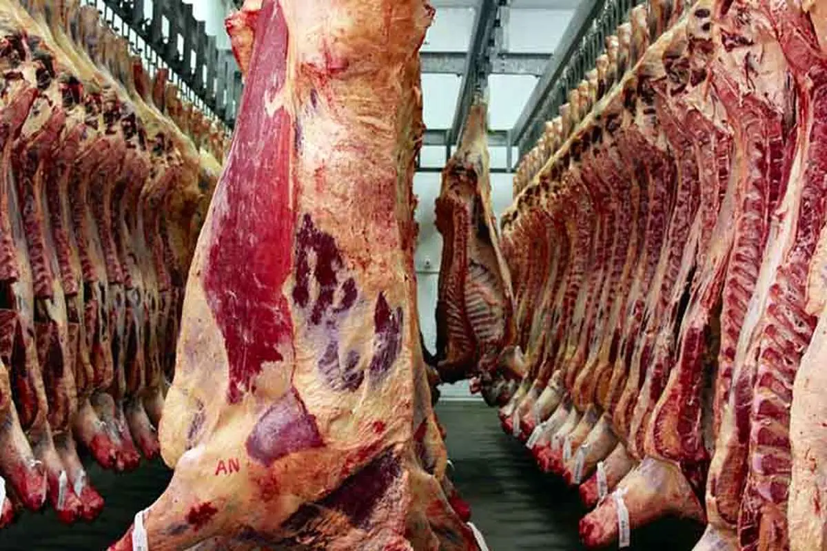 کاهش ۲۲ درصدی تولید گوشت نسبت به سال گذشته