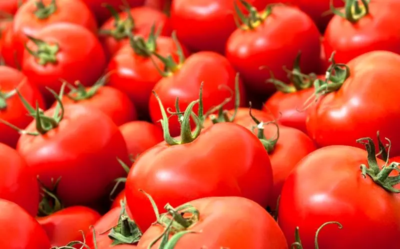 فروش گوجه ایرانی با قیمت 14 هزار تومان در پاکستان