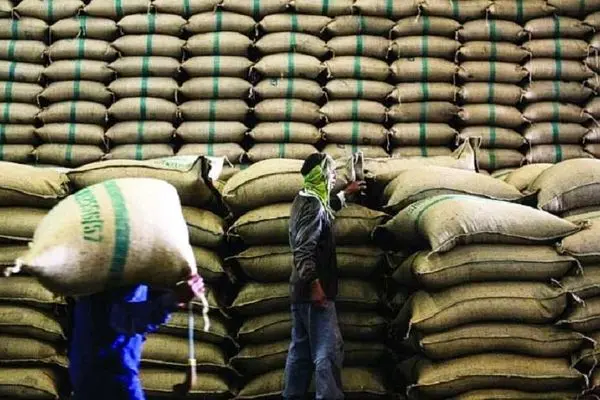 افزایش ۷۶ درصدی صادرات برنج پاکستان