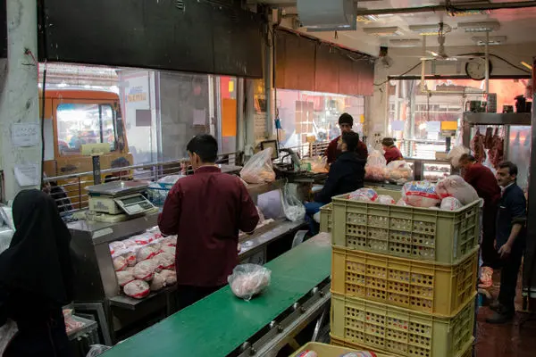 تداوم مازاد عرضه بر تقاضای مرغ گوشتی در بازار