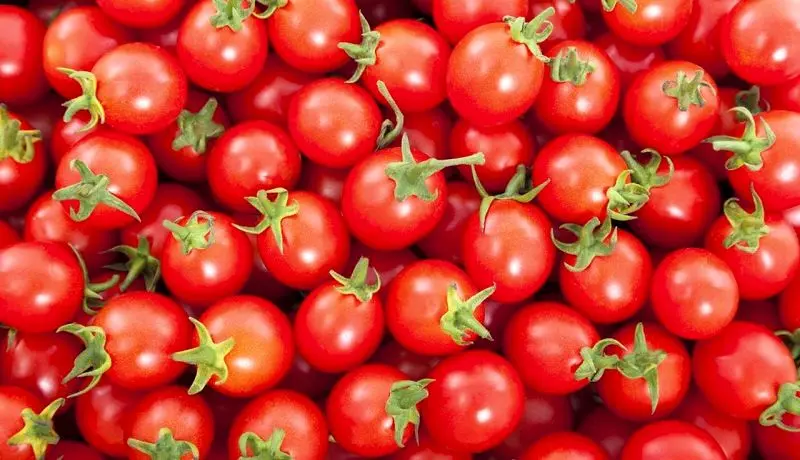 گوجه‌فرنگی ٤ هزار تومان ارزان شد / نیازی به حضور دولت برای بازار میوه شب عید نیست