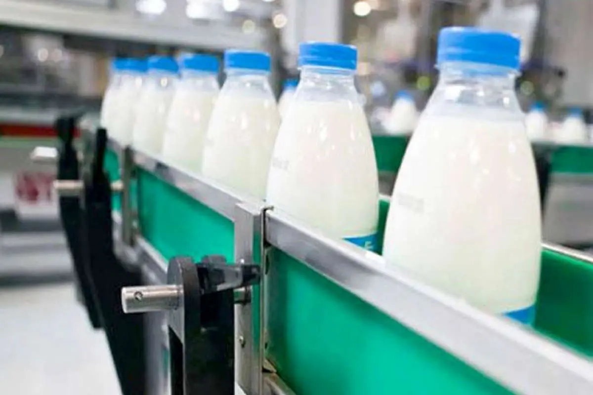وجود سم آفلاتوکسین در شیر چقدر واقعیت دارد؟