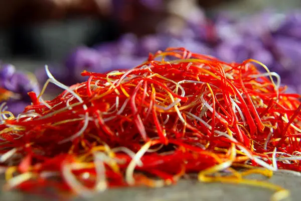 روند نزولی صادرات زعفران در کشور/ تولید زعفران نصف شد