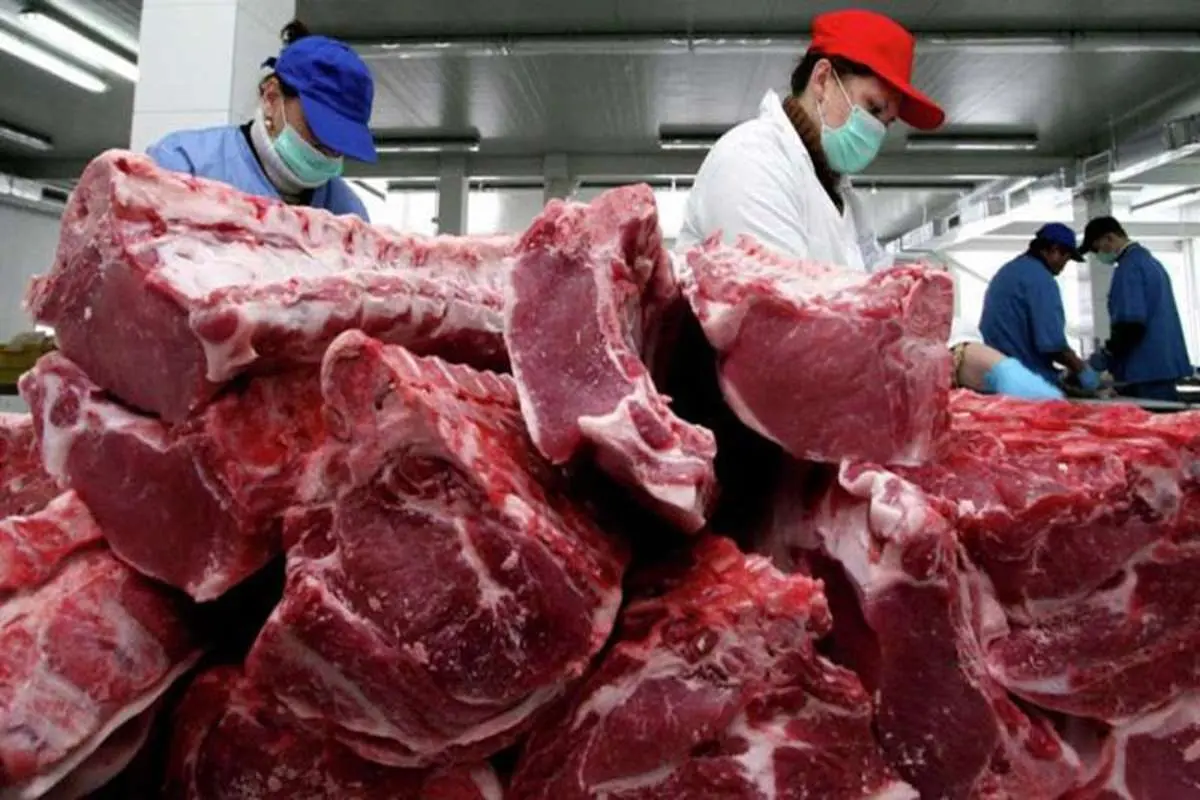اختلاف چشمگیر قیمت گوشت از دامداری تا بازار