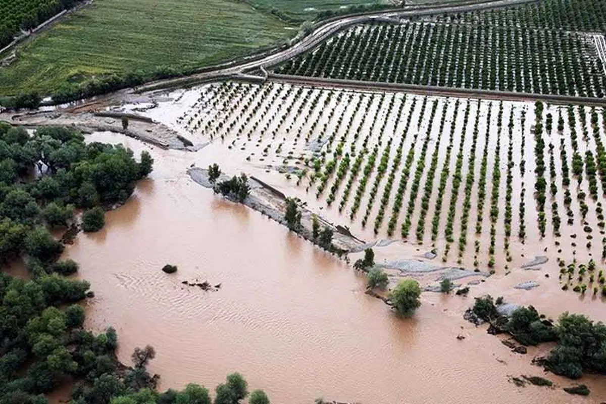 سیلاب ۵ هزار میلیارد ریال خسارت به کشاورزان جنوب کرمان وارد کرد