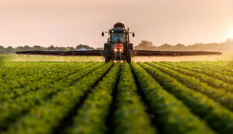 پیش‌بینی تولید ۱۲۸ میلیون تن محصولات کشاورزی در سال ۹۹