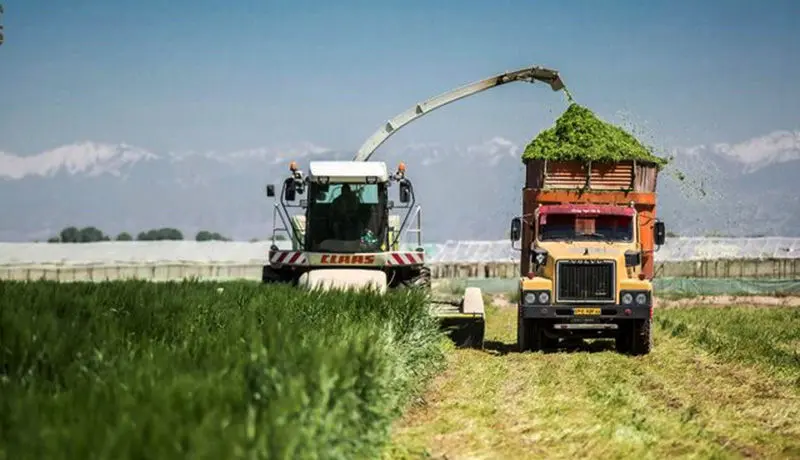 سرمایه‌گذاری سوئیسی‌ها در ایران برای مدیریت پساب در مزارع شیری