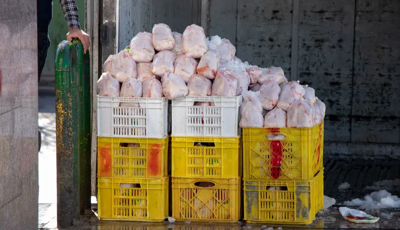 توزیع مرغ 18500 تومانی از شنبه در فروشگاه‌ها