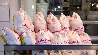 کاهش قیمت با تزریق ۱۷۰۰ تن مرغ به بازار