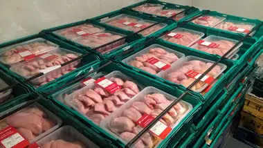 عرضه مرغ بسته‌بندی در فروشگاه‌ها ممنوع شد